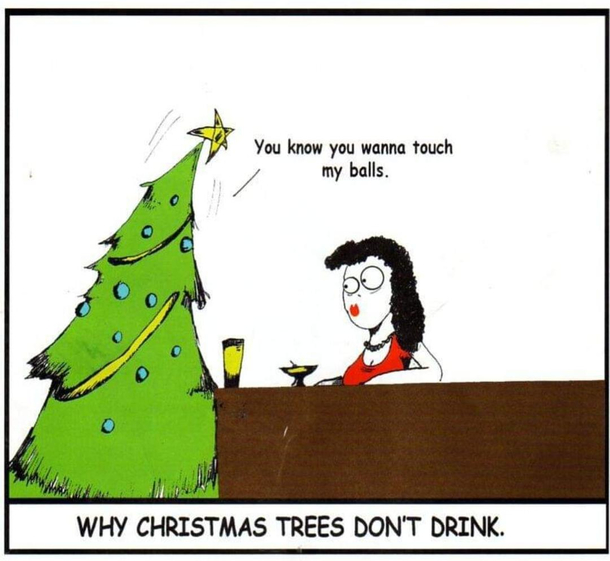 Why Christmas trees dont drink