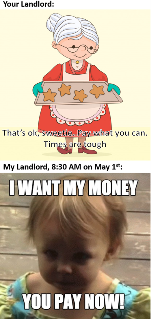 Why couldnt I get one of the nice landlords