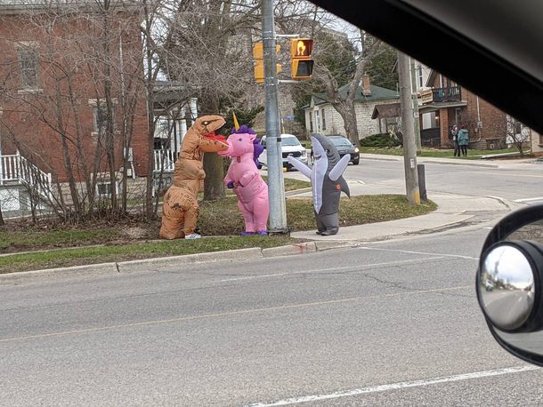 Why did the dinosaur the unicorn and the shark cross the road