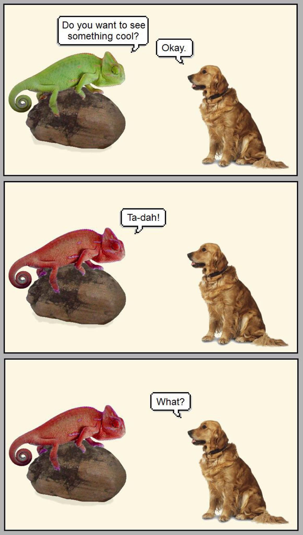 Why do I laugh so hard at such simple stuff