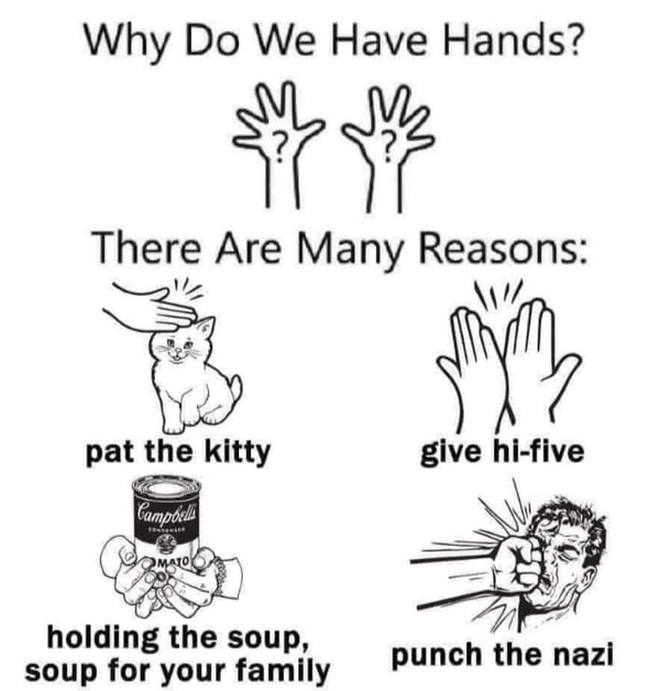Why Do We Have Hands Meme Guy