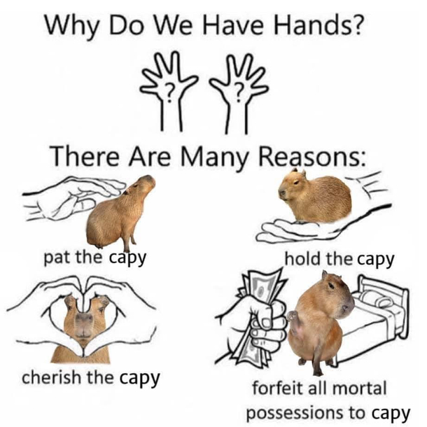 Why do we have hands