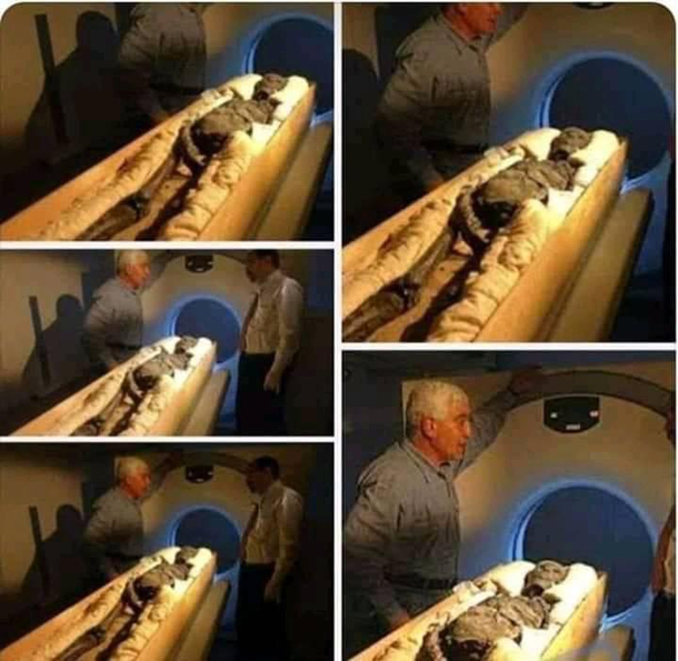 Why does King Tut look like a Philly Cheesesteak