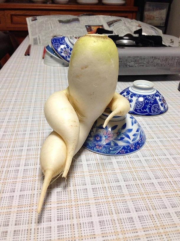 Why dont you look radishing today