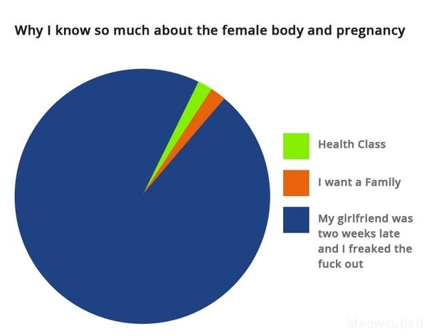 Why I know so much about the female body and pregnancy