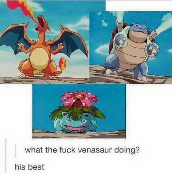 Why I never picked bulbasaur