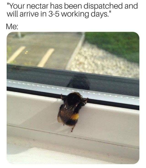 Why is it not here yet