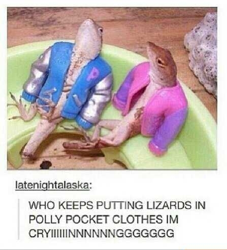 Why is this so funny to me