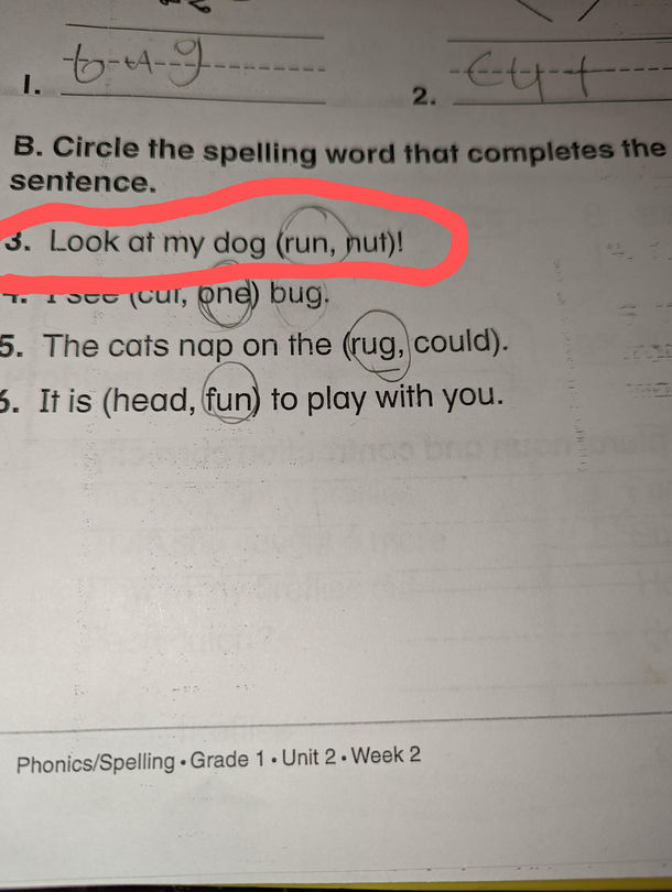 why just why