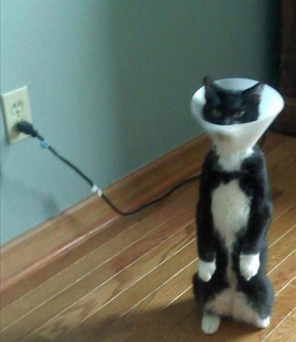 Why lamp so angry