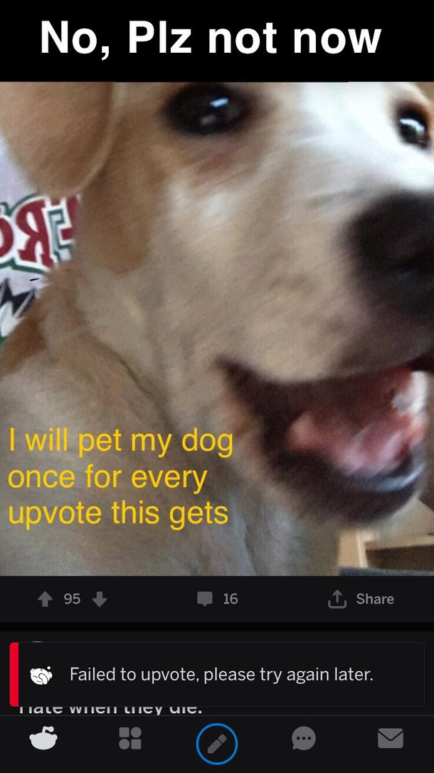 Why Poor Doggo