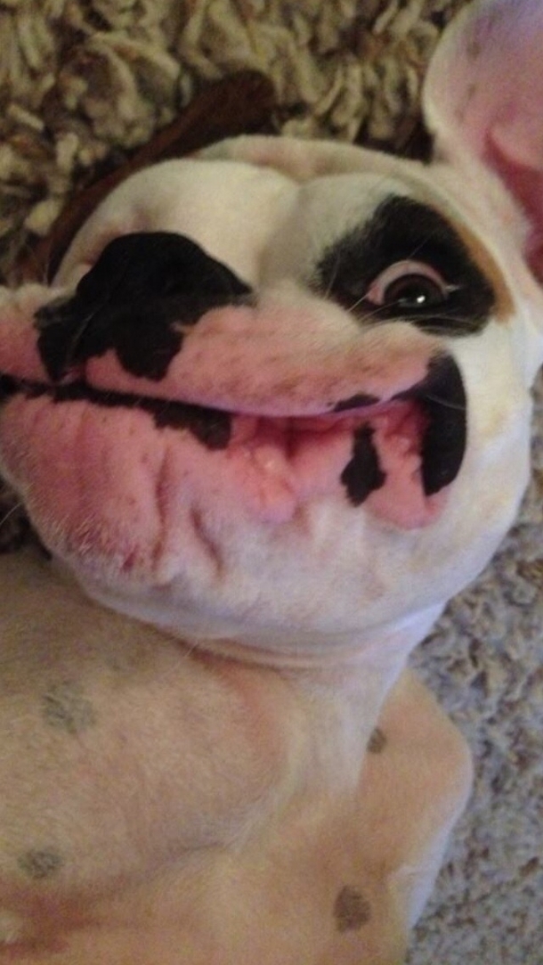 Why so serious