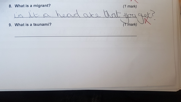 Why teaching is the best job in the world