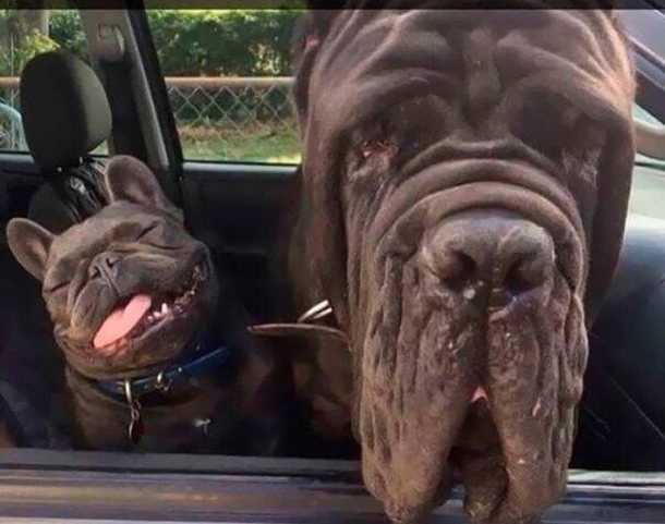 Why the long face 
