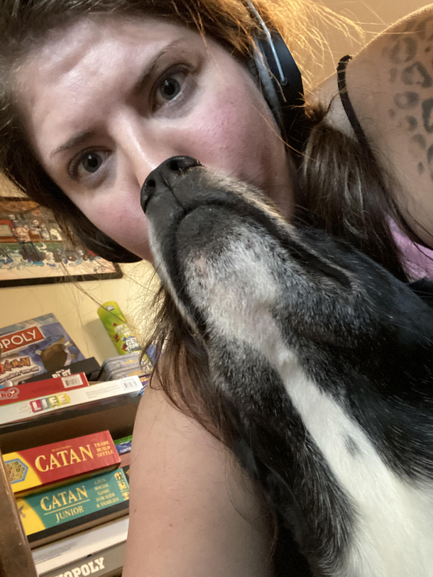 Why the long face