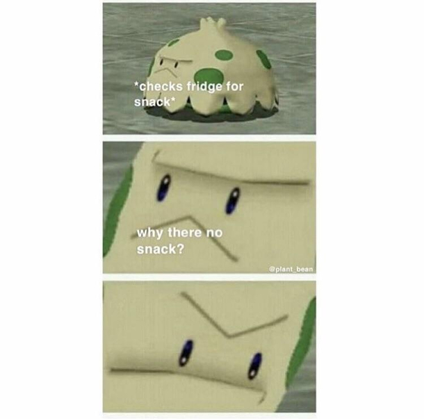 Why there no snack