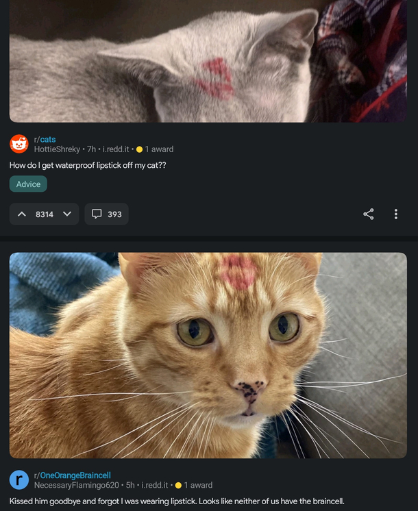 Why thy fuck are you kissing your cats with lipstick on