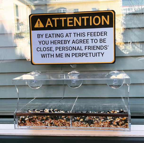 Why wont anyone eat at my birdfeeder