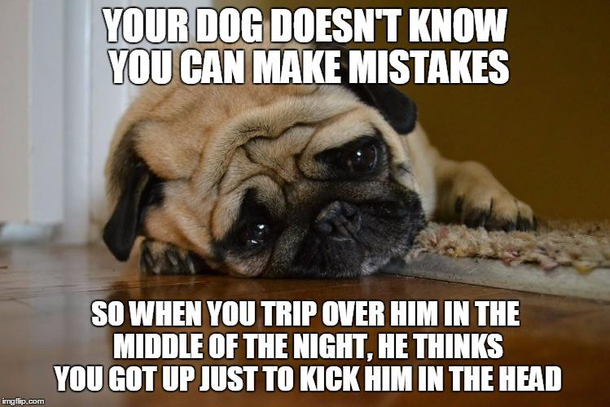 Why you do this