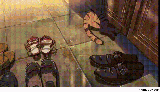 Why you should never step on a cats tail
