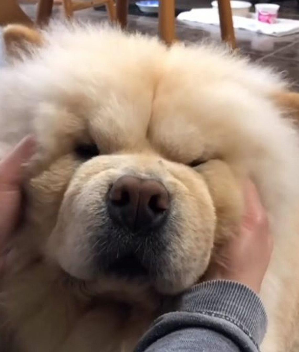 WHY YOU TOUCHING ME