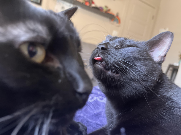 Wick is not impressed