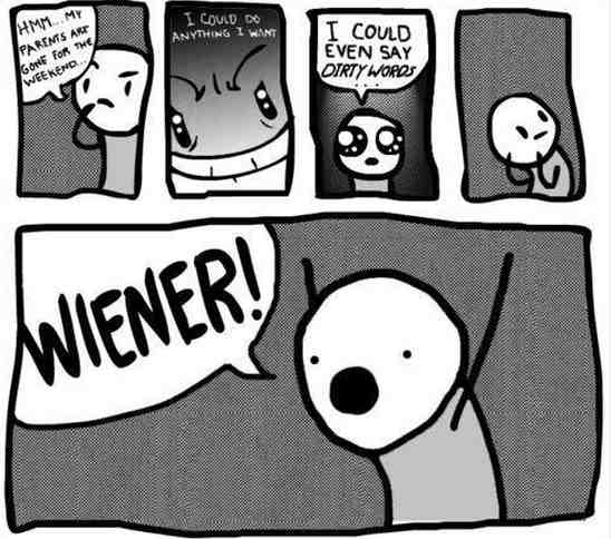 WIENER 