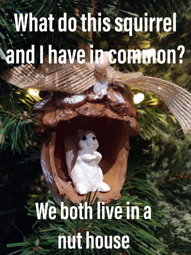 Wife didnt appreciate a dad joke I told about a Christmas ornament