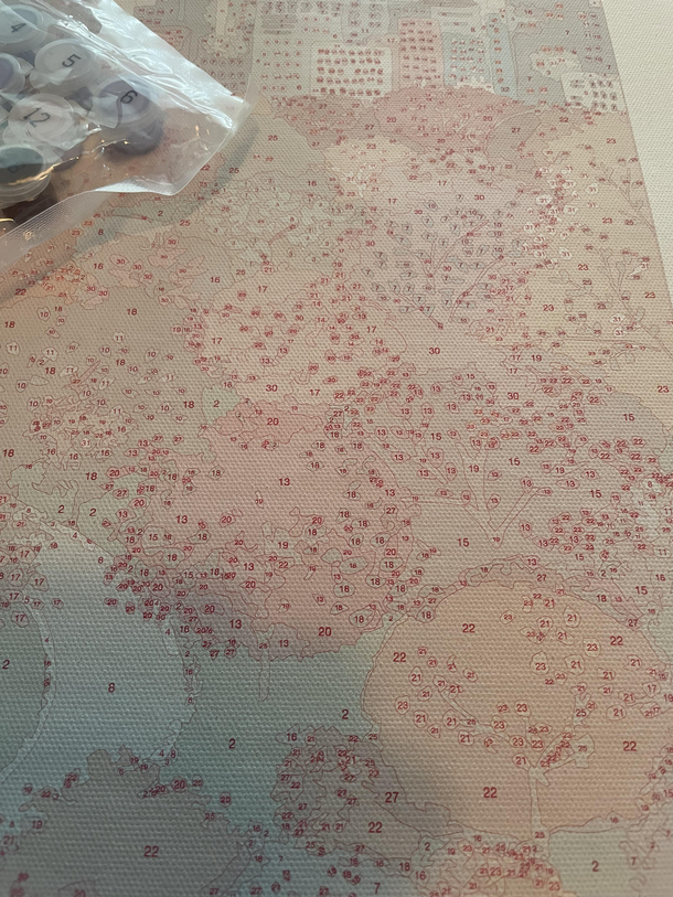 Wife said lets paint-with-numbers tonight Da fuq is this insanity right here