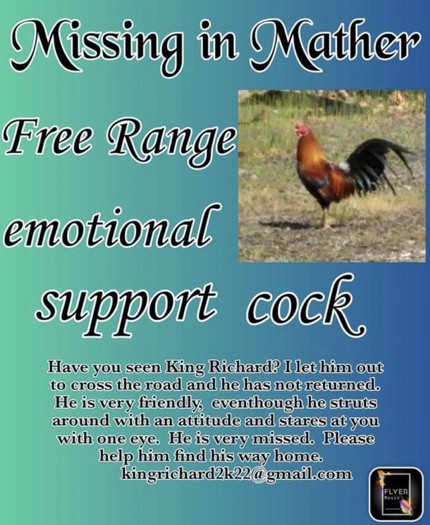 Wife saw this post in found on Facebook didnt know where to post it