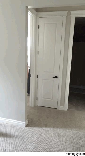 Wife scares the crap out of our cat