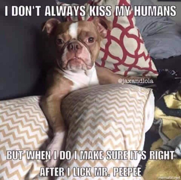 Wife sent me this not my content but it was too good not to share