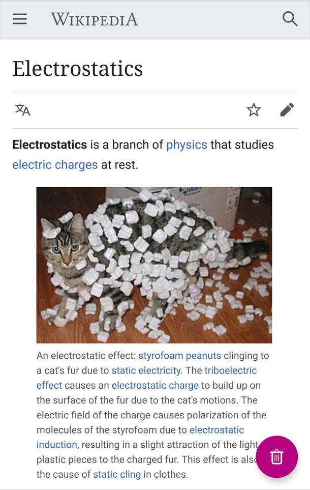 Wikipedias use of a cat to describe electrostatics