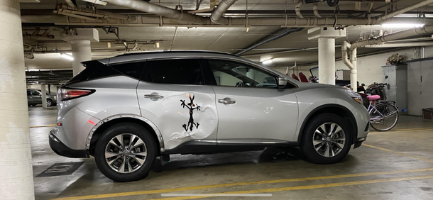 Wile E Coyote  Splat