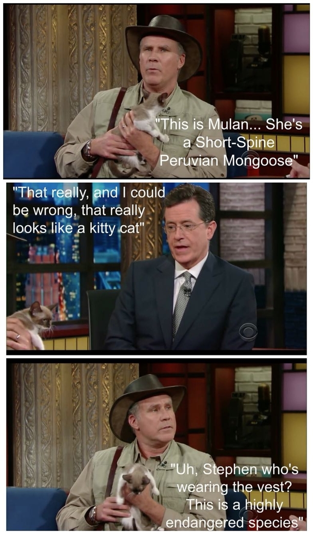 Will Ferrell Animal Expert