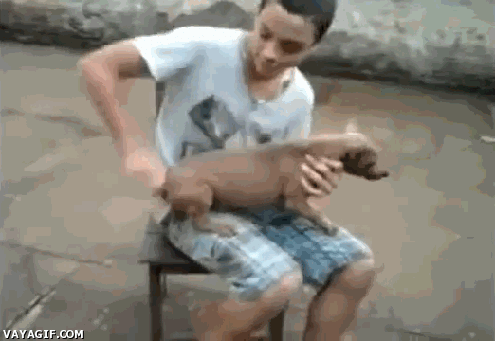 Wind-up dog