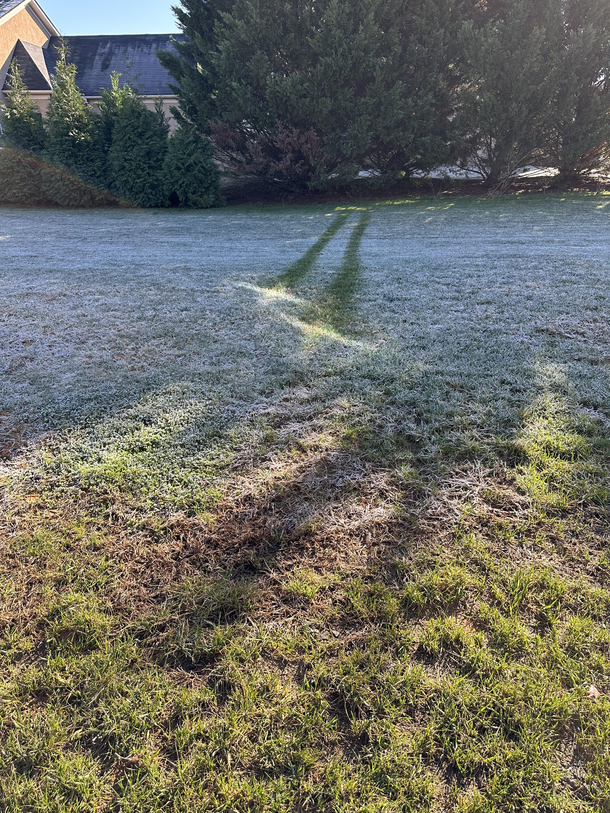 Window reflection melting frost looks like someone hit mph in a DeLorean