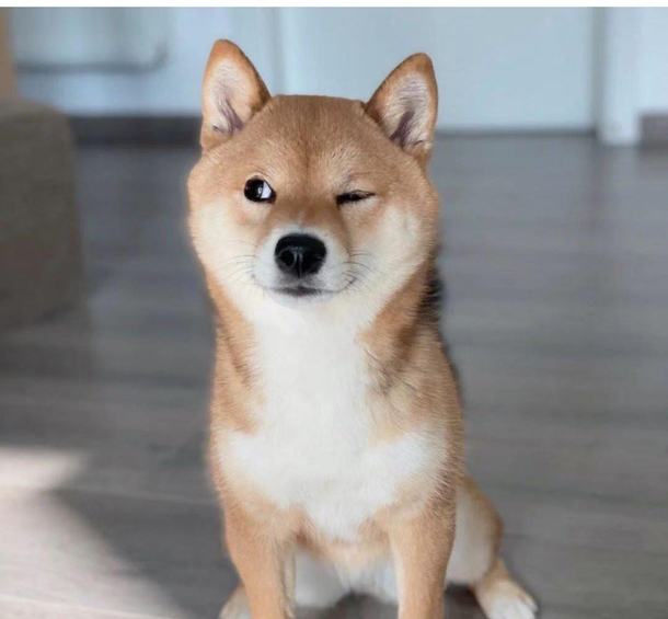 Wink 