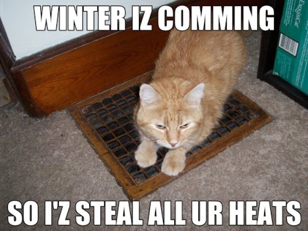 Winter Came To Central Illinois Today So One Of Our Cats Is Stealing All Our Heats She Refuses To Move Whenever The Heat Turns On Oh Kendall Meme Guy,Flock Of Birds Transparent Background