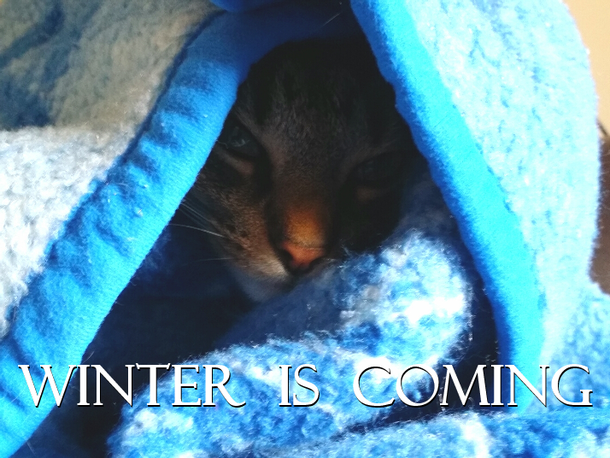 Winter is coming