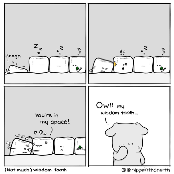 Wisdom tooth 