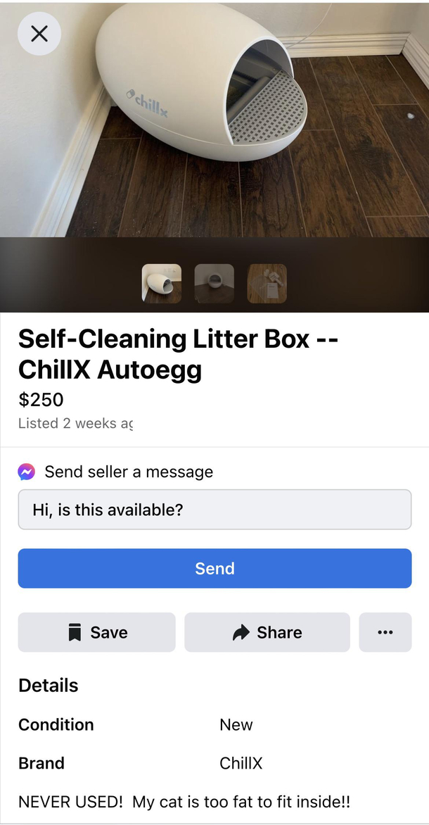 Wish I could see their cat trying to fit in