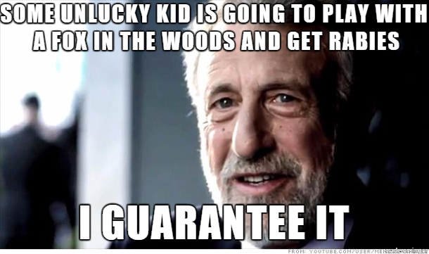 With all of these cute fox gifs landing on the front page