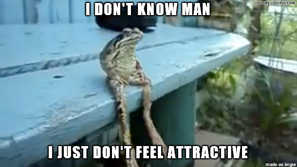 With all those photogenic frogs on reddit
