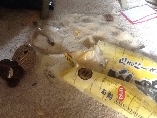 Woke up this morning to this One of the cats shredded the rice bag to explore alternative forms of litter