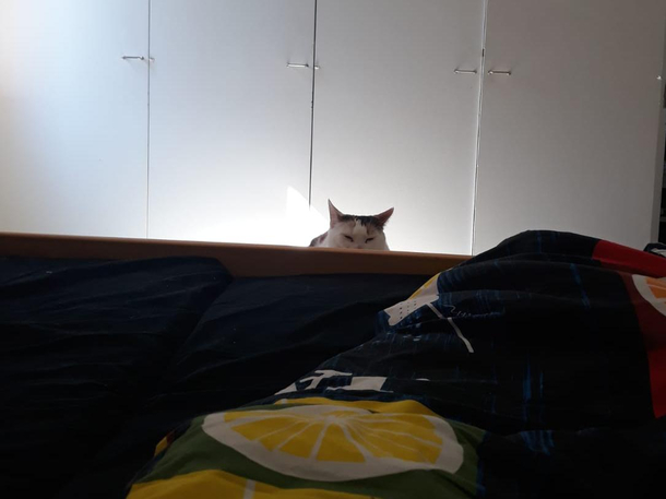 Woke up to this in the morning 