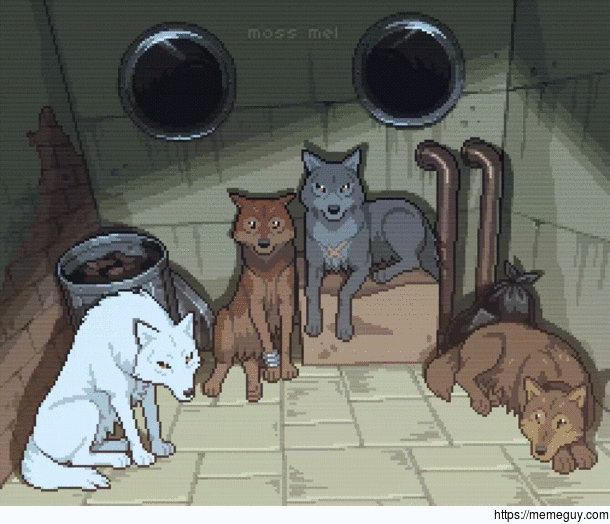 Wolf Rain