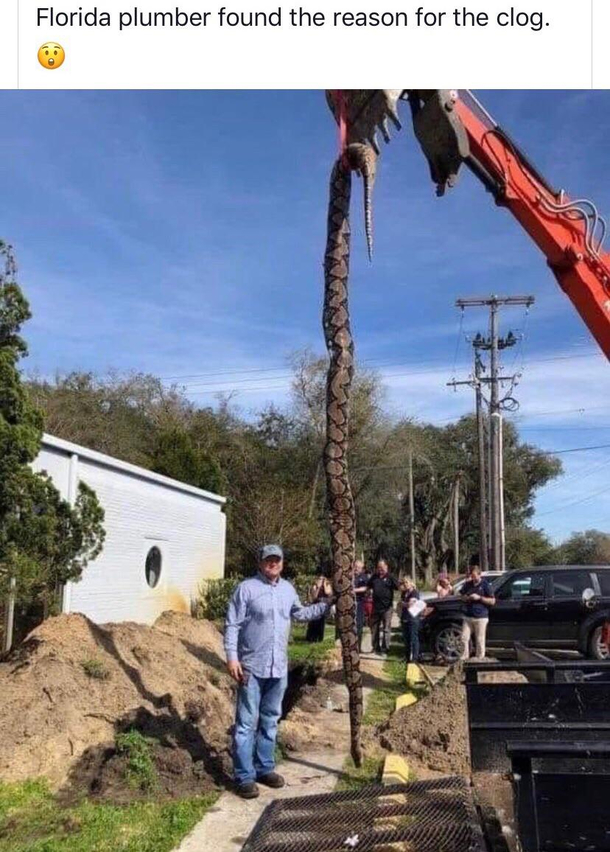 Wonder how much their plumbing bill was
