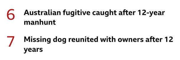 Wonder was he on the run for dog theft