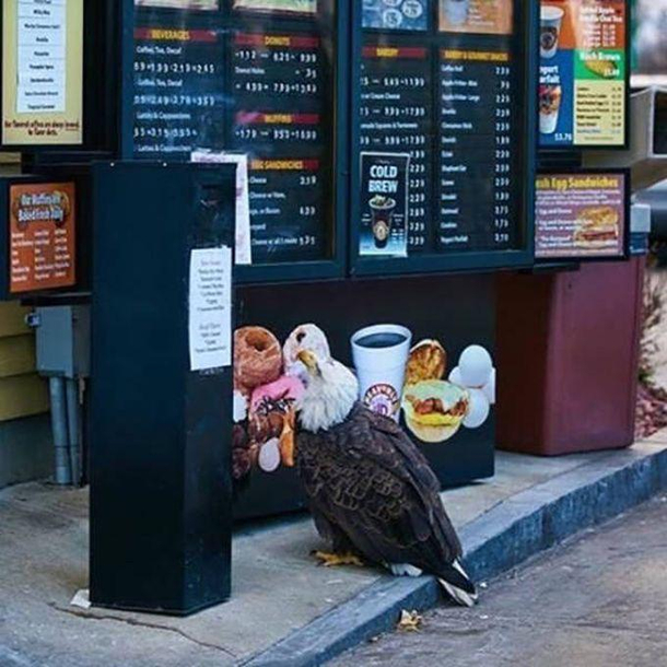 Wonder what hes ordering